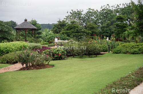 The River House Resort & Spa Chiang Rai 37